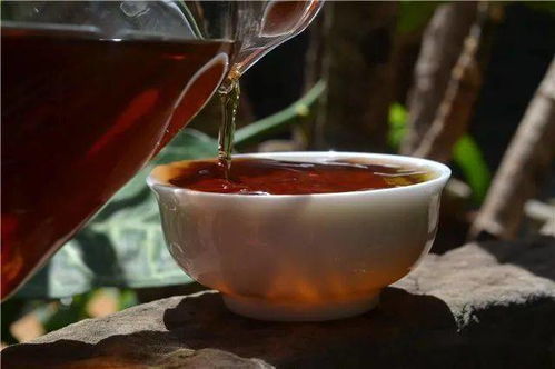 探秘普洱新饮 官方旗舰店真伪辨别与品类全览